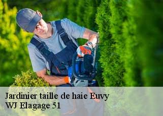 Jardinier taille de haie  euvy-51230 WJ Elagage 51 