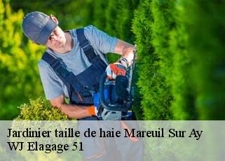 Jardinier taille de haie  mareuil-sur-ay-51160 WJ Elagage 51 