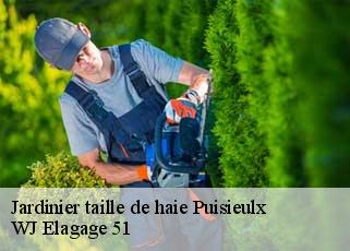 Jardinier taille de haie  puisieulx-51500 WJ Elagage 51 