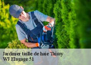 Jardinier taille de haie  taissy-51500 WJ Elagage 51 