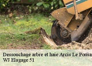 Dessouchage arbre et haie  arcis-le-ponsart-51170 WJ Elagage 51 