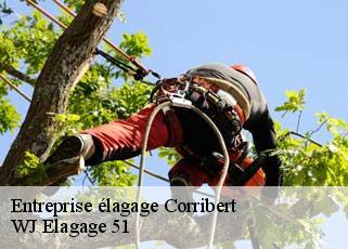 Entreprise élagage  corribert-51270 WJ Elagage 51 