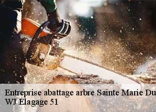 Entreprise abattage arbre  sainte-marie-du-lac-nuisemen-51290 WJ Elagage 51 