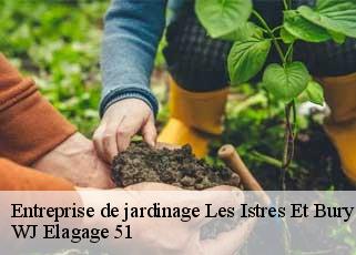 Entreprise de jardinage  les-istres-et-bury-51190 WJ Elagage 51 